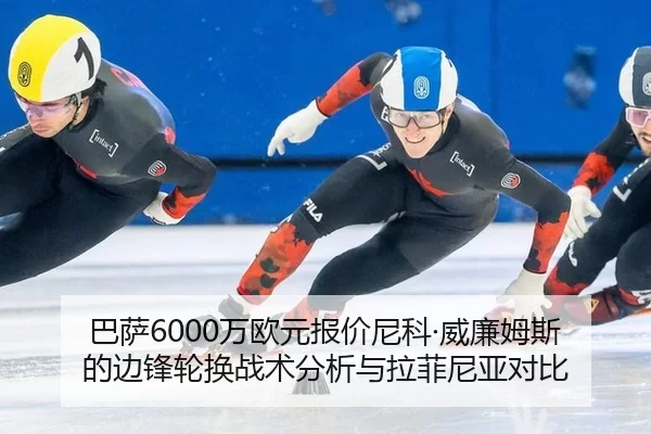 ba-sa-wan-ou-yuan-bao-jia-ni-ke-wei-lian-mu-si-de-bian-feng-lun-huan-zhan-shu-fen-xi-yu-la-fei-ni-ya-dui-bi-2-563.jpg
